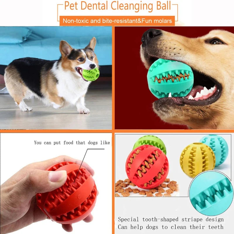 Treat Feeder - Interactive Rubber Ball