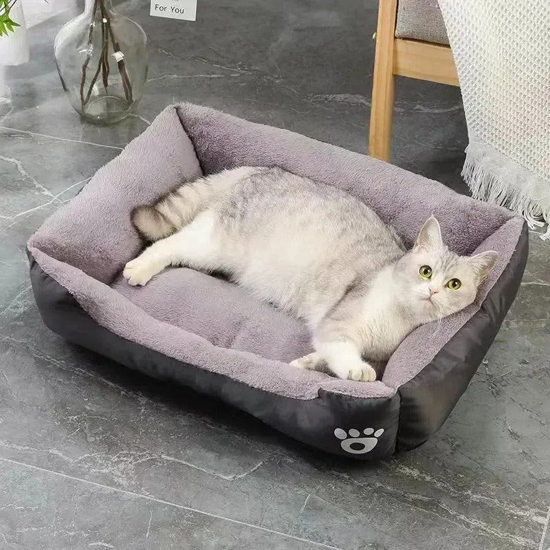 Calming Pet Cushion
